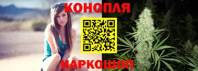 Альфа ПВП Кингисепп