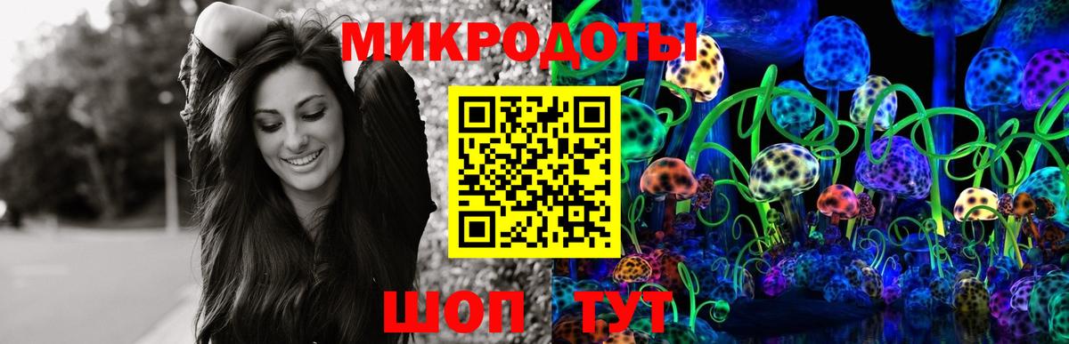 Биробиджан  Псилоцибиновые грибы мицелий  Галлюциногенные грибы прущие грибы  Вход с VPN 